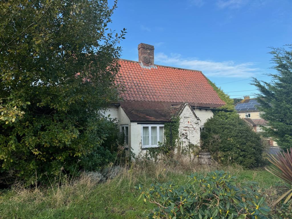 Lot: 86 - DETACHED PERIOD HOUSE FOR IMPROVEMENT ON QUARTER ACRE PLOT - Side view of property